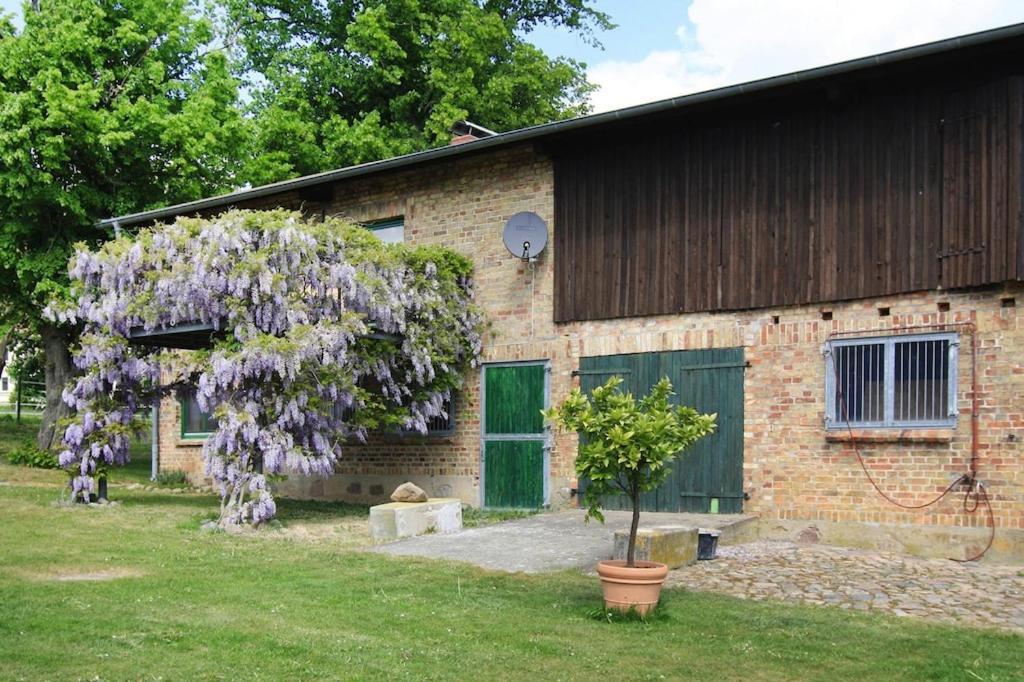 Vacation Home, Zahrensdorf Exterior foto